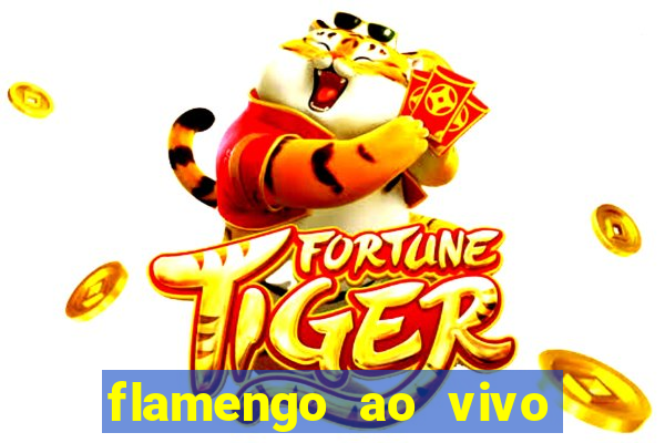 flamengo ao vivo hd play